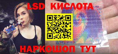 шишки Партизанск