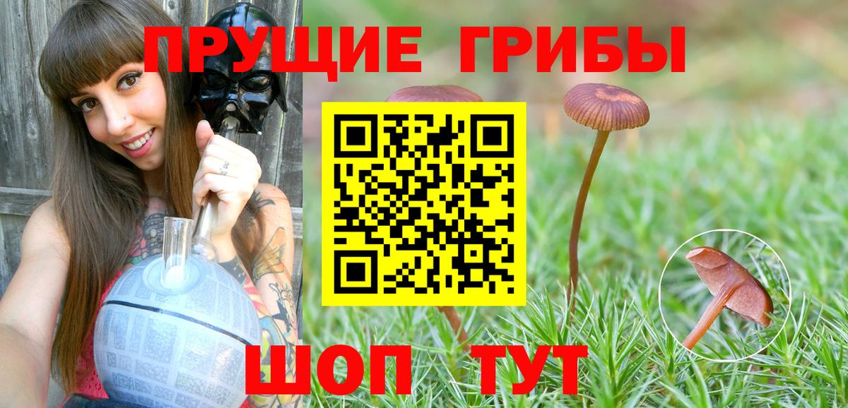 Галлюциногенные грибы GOLDEN TEACHER Семилуки