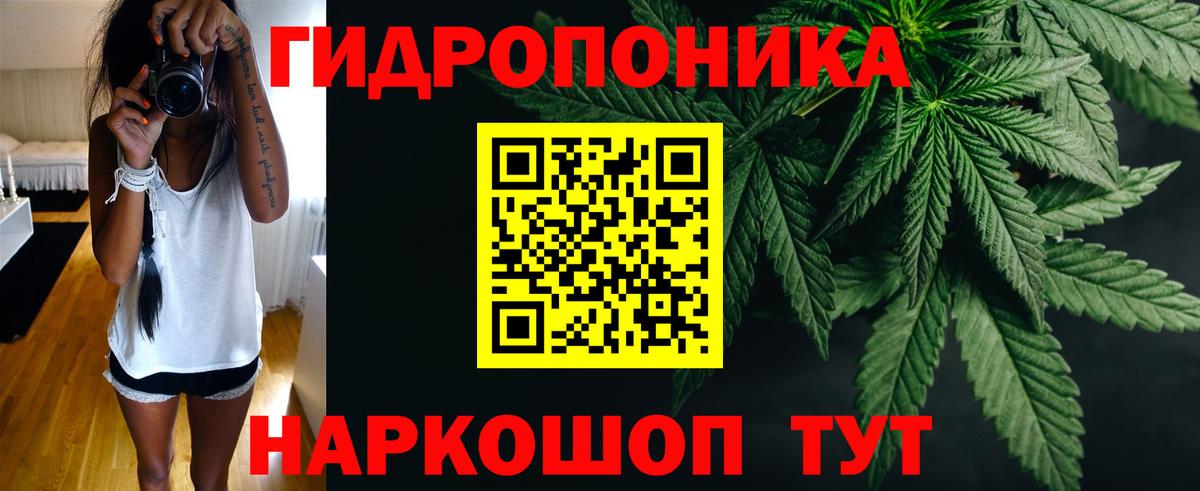 МАРИХУАНА семена  Вход с VPN  Канабис планчик  Семилуки 